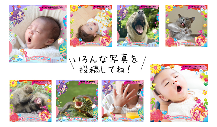 いろんな写真を投稿してね！