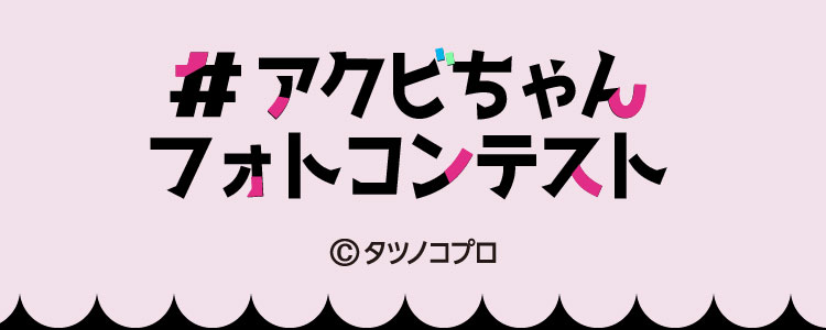 #アクビちゃんフォトコンテスト